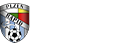 RAPID PLZEŇ fotbal, z.s.